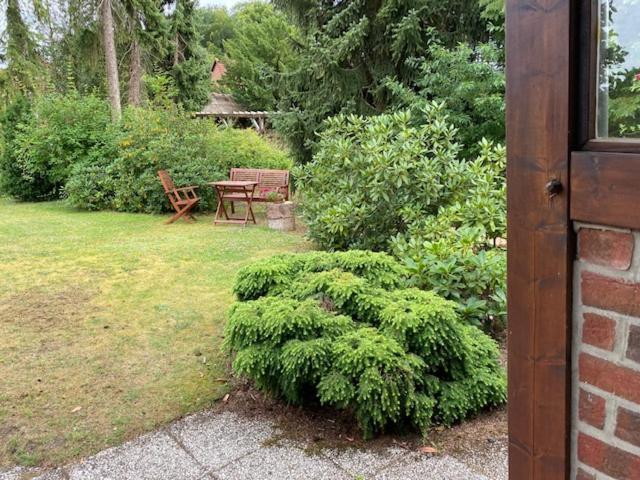 Appartement Ferienwohnung Neetze Neetze